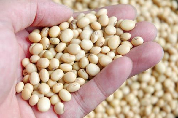 [Image: bi%20quyet%20co%20lan%20da%20trang%20nhu...et%201.jpg]