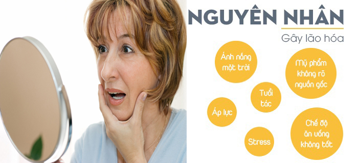 [Image: chan%20dung%20thoi%20gian%20lao%20hoa%204.jpg]