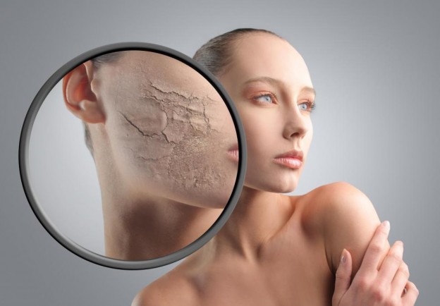 [Image: chong-lao-hoa-da-1.jpg]