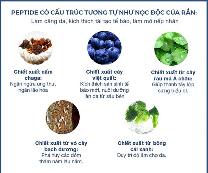 Các thành phần tự nhiên và quí hiếm giúp chống lão hóa hiệu quả 
