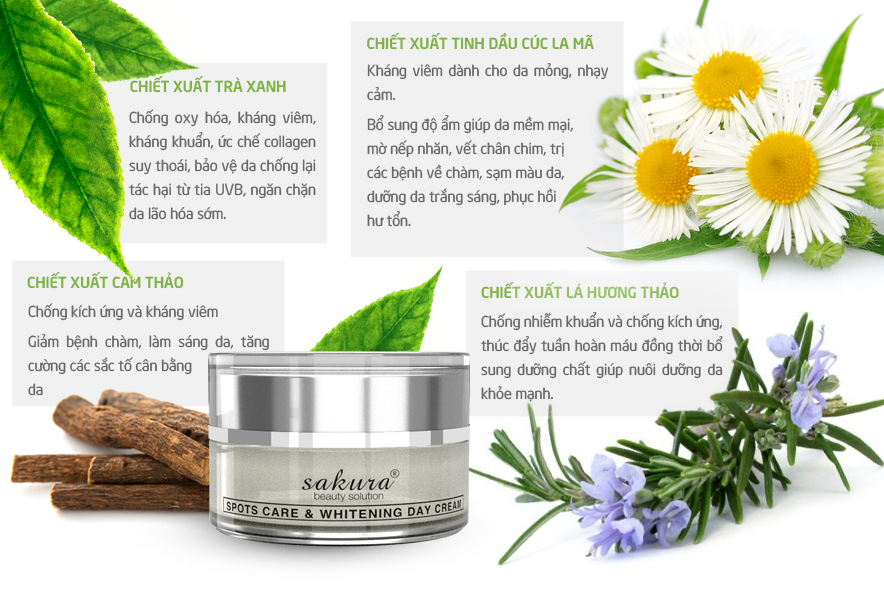 Thành phần kem trị nám ban ngày Sakura chiết xuất hoàn toàn từ thiên nhiên Thành phần kem trị nám ban ngày Sakura chiết xuất hoàn toàn từ thiên nhiên
