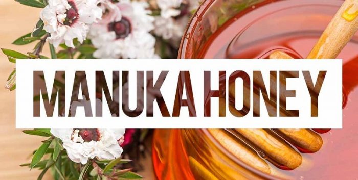 Mật ong Manuka (Manuka Honey) có tính kháng khuẩn cực cao