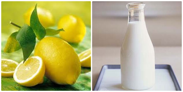 [Image: tam-trang-tai-nha-bang-chanh-sua-tuoi.jpg]