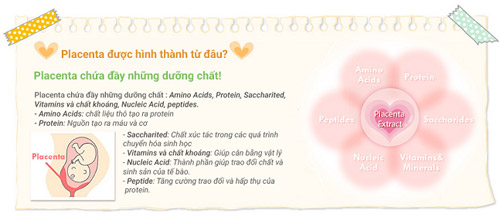 [Image: tieng-nhat.jpg]