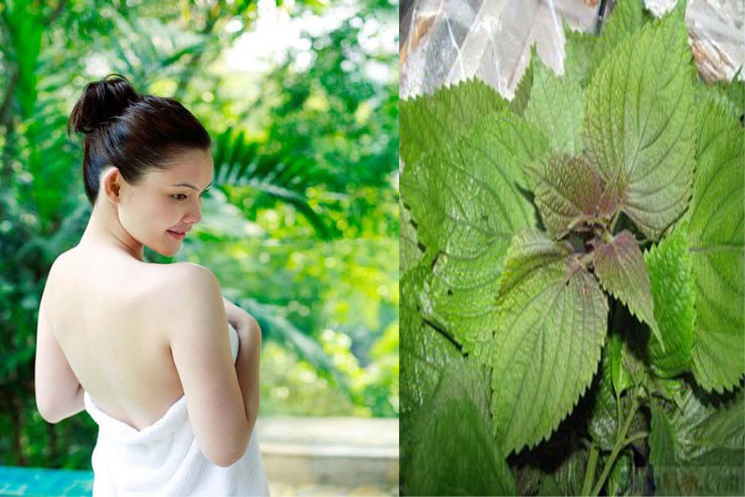 [Image: top-2-loai-nuoc-tam-trang-da-hieu-qua-kh...i-spa2.jpg]